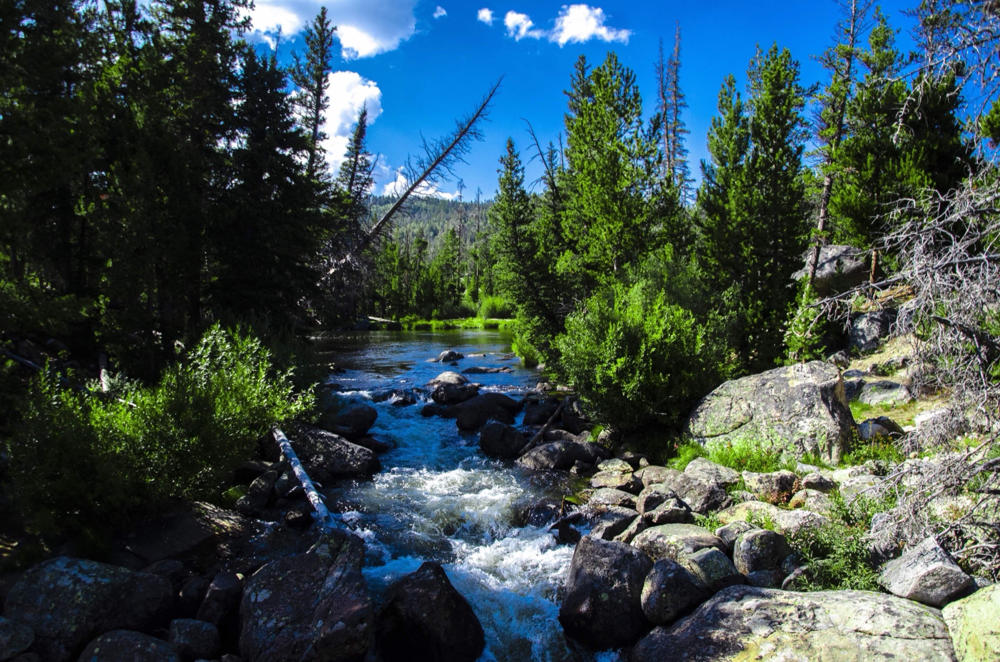 Wind River Country